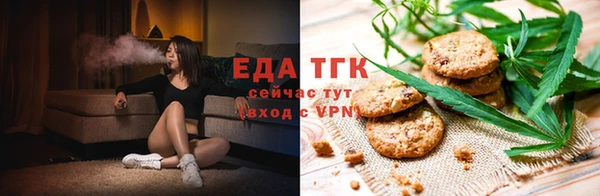 индика Балабаново