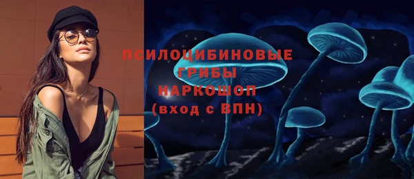 дурь Белокуриха