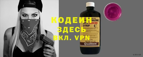 индика Балабаново