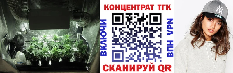 Купить  Сланцы  ТГК концентрат 