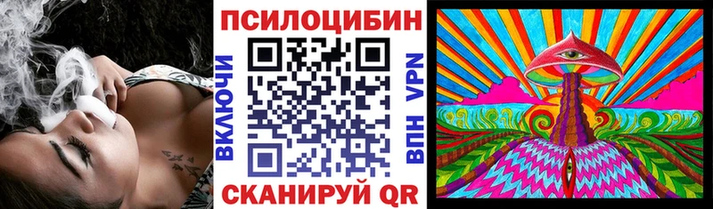 Галлюциногенные грибы Magic Shrooms  Купить где  Сланцы 